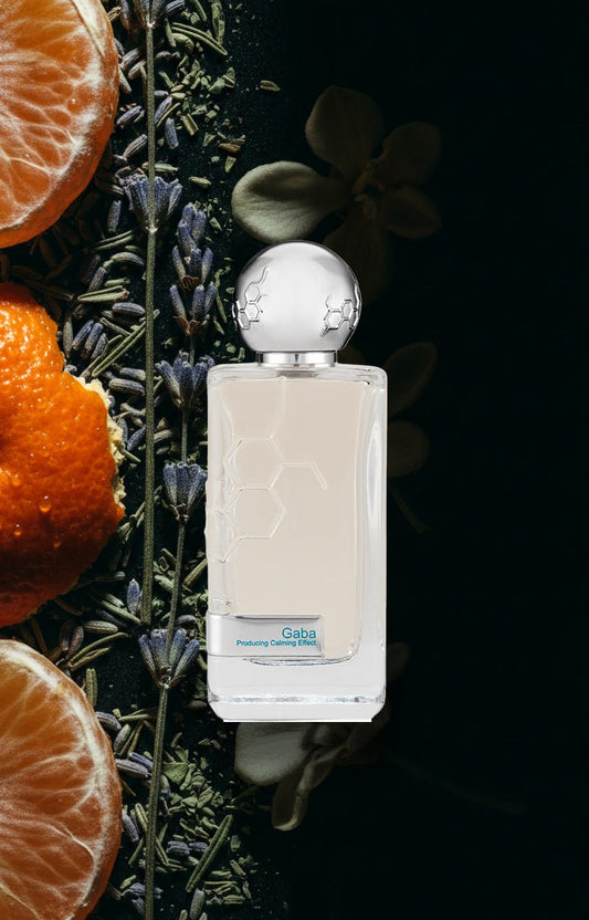 Hormone Paris Gaba - Perfume Sommelier
